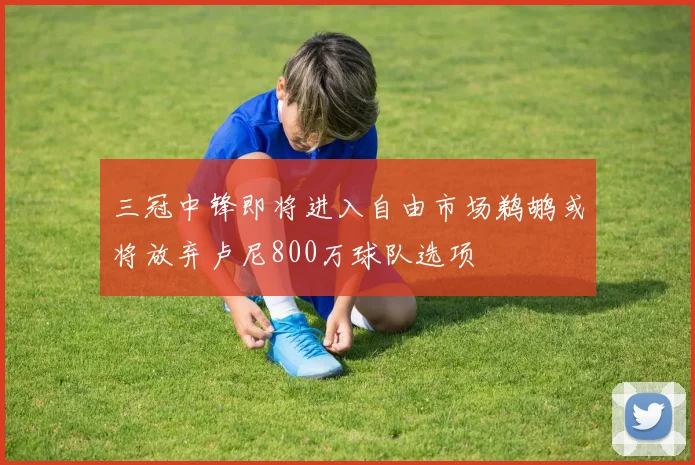 三冠中锋即将进入自由市场鹈鹕或将放弃卢尼800万球队选项